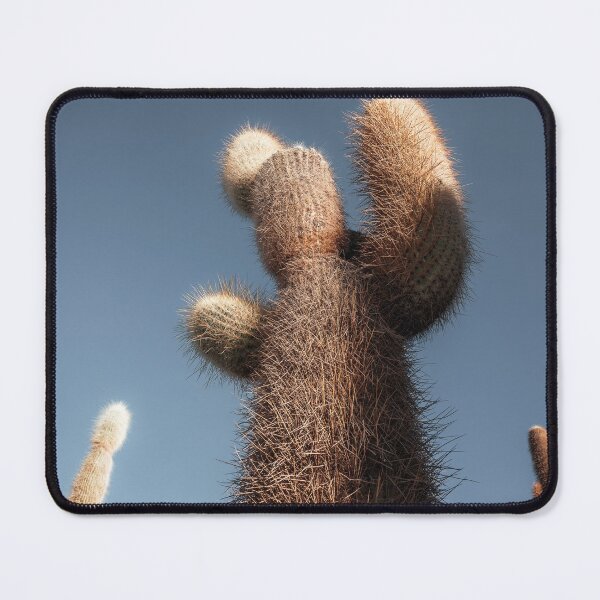 Item preview, Salar de Uyuni salt flats cactus | Bolivia designed and sold by photofelix-.