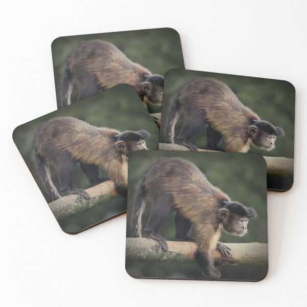 Item preview, Brown Capuchin designed and sold by Ladymoose.