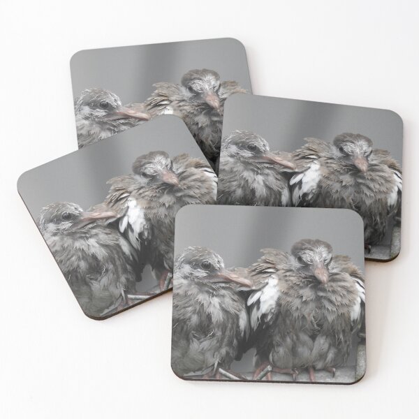 Item preview, Baby Birds Cuddling designed and sold by EnchantedxPhoto.