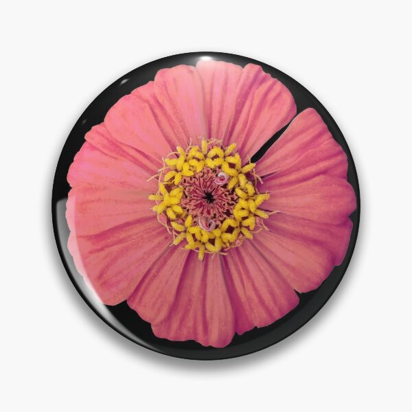 Item preview, Field Guide to Zinnias, No. 12, Peachy Plum Zinnia Flower designed and sold by Kristi Duggins.