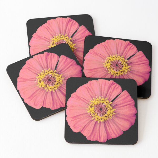 Item preview, Field Guide to Zinnias, No. 12, Peachy Plum Zinnia Flower designed and sold by Kristi Duggins.