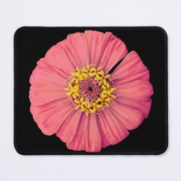 Item preview, Field Guide to Zinnias, No. 12, Peachy Plum Zinnia Flower designed and sold by Kristi Duggins.