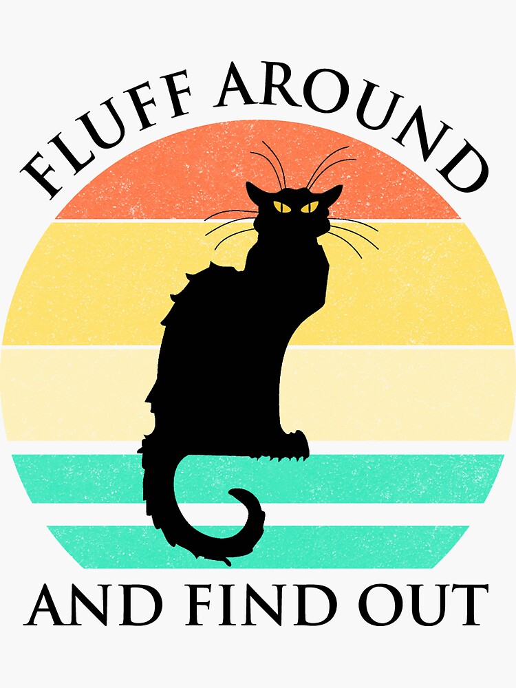 Fluff Around And Find Out Funny Cat Quote Throw Pillow for Sale by  Georgy09