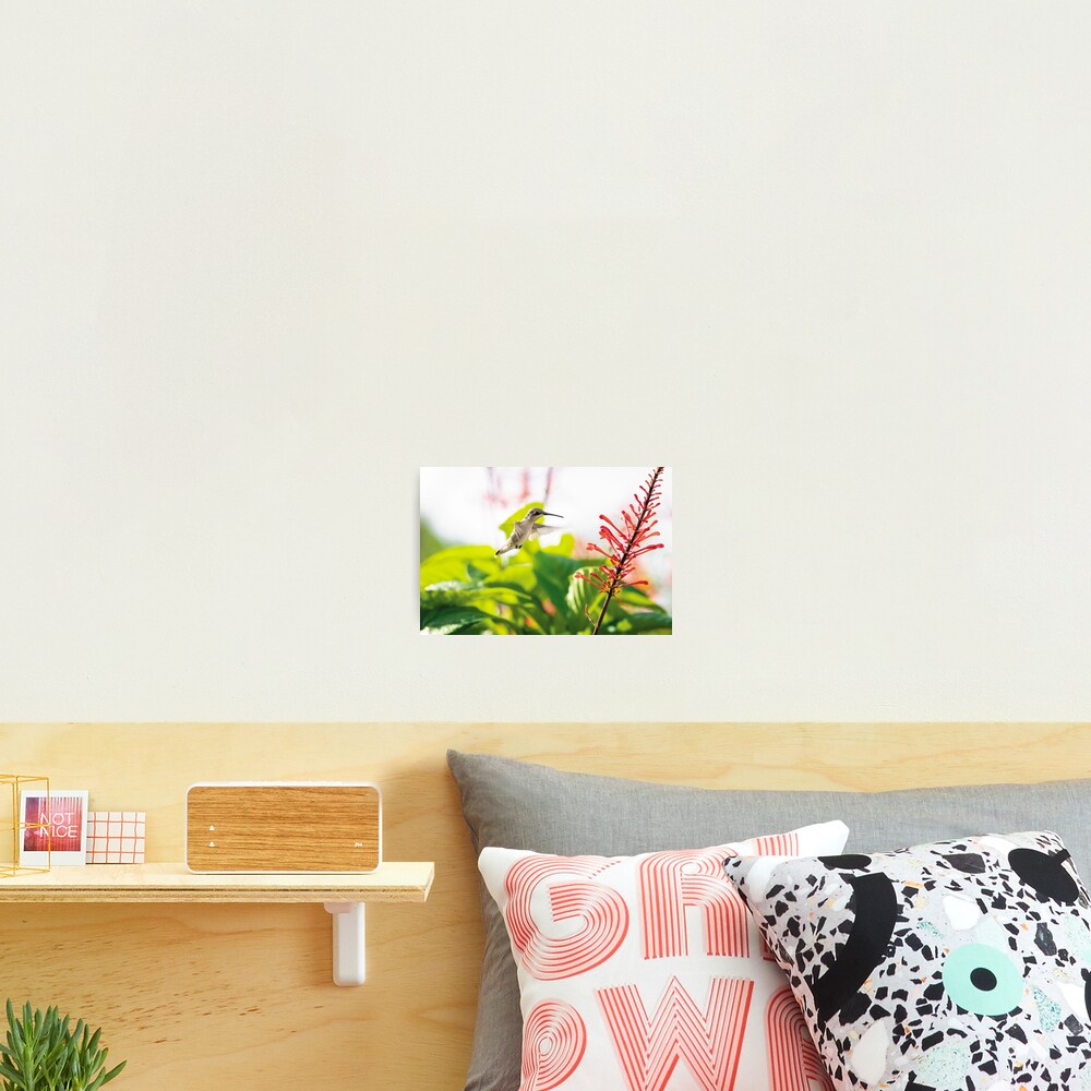 Item preview, Photographic Print designed and sold by Kbytes.