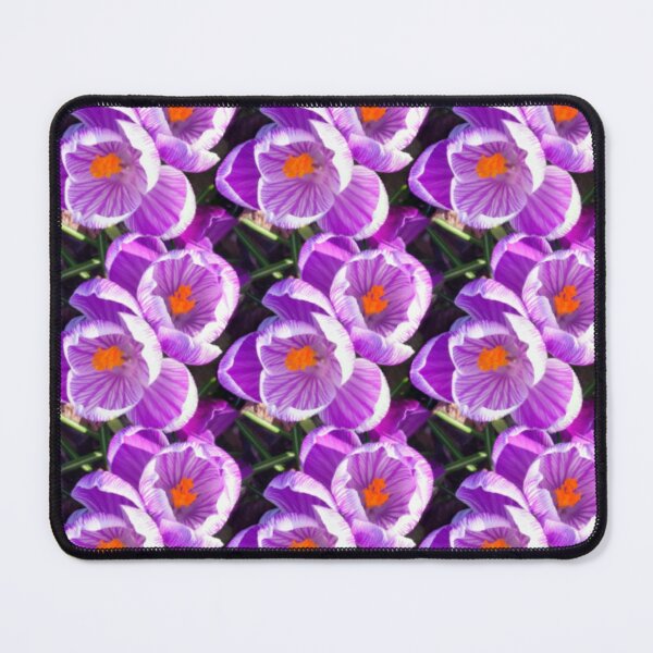Item preview, Spring crocus 3 designed and sold by LittleBettyMakes.