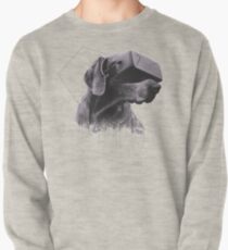 Virtual Reality Dog Pullover