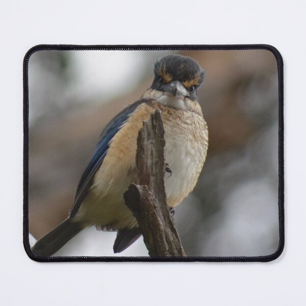 Item preview, Bad Hair Day- New Zealand Birds designed and sold by lizdomett.