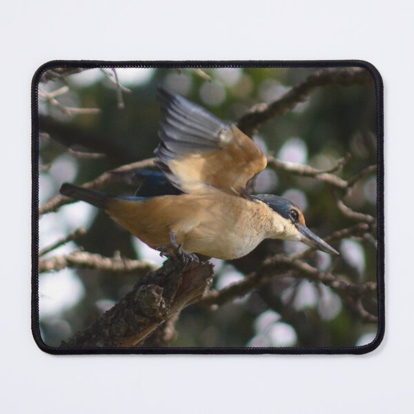 Item preview, pre flight mode engaged- New Zealand Birds designed and sold by lizdomett.