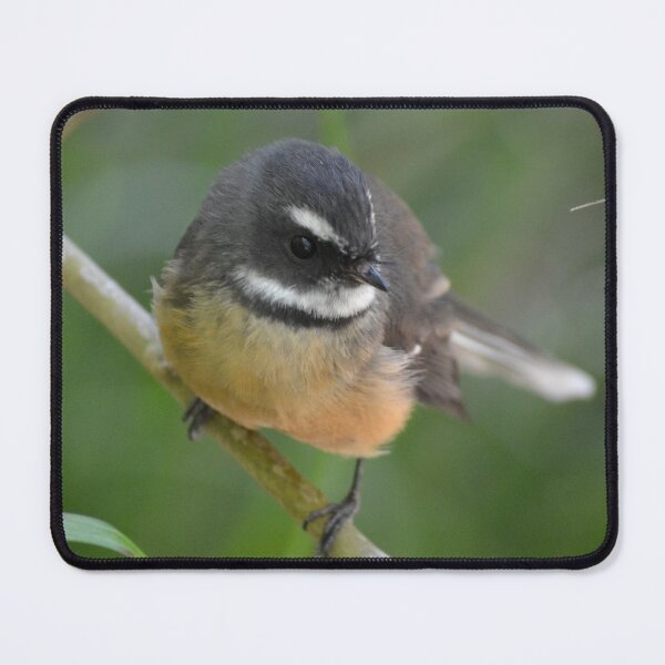 Item preview, Tinny winged follower- NZ Fantail-New Zealand Birds designed and sold by lizdomett.