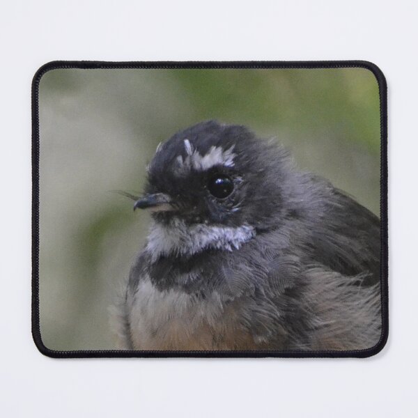 Item preview, Baby face-(fantail) NZ Birds designed and sold by lizdomett.