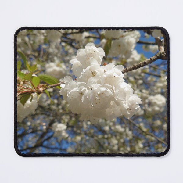 Item preview, White apple blossom designed and sold by LittleBettyMakes.