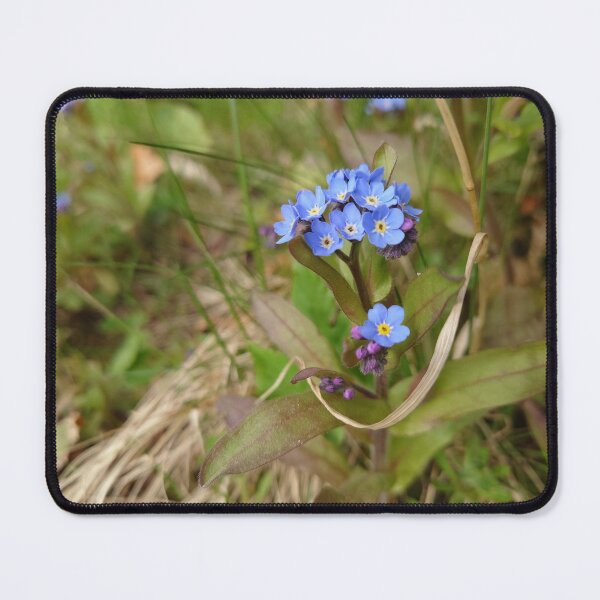Item preview, Forget-me-nots designed and sold by LittleBettyMakes.