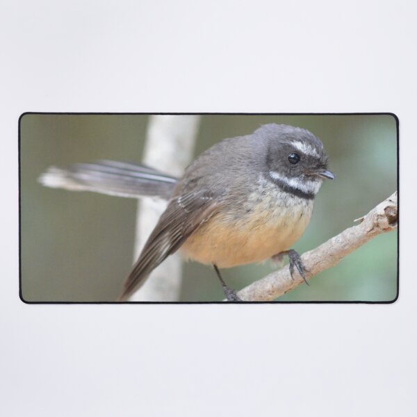 Item preview, Macleans Fantail -New Zealand Birds designed and sold by lizdomett.