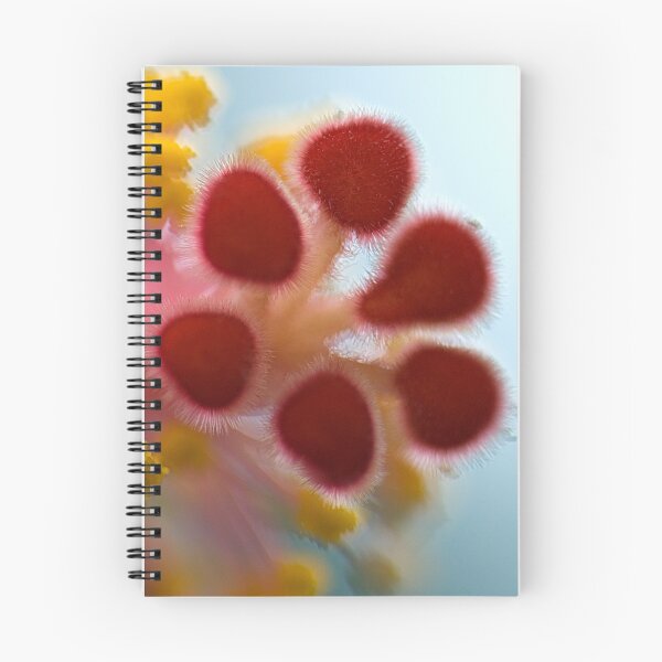 Aperçu de l'œuvre Hibiscus Caviar créée et vendue par Sandy  Taylor Photography.