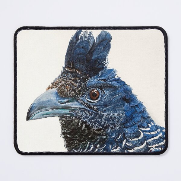 Item preview, Banded Ground Cuckoo, an Endangered Species designed and sold by TonyMayoArt.