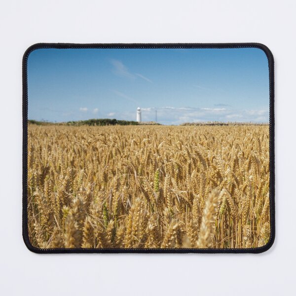 Item preview, Nash Point Lighthouse and Golden Wheat Fields designed and sold by heidipics.