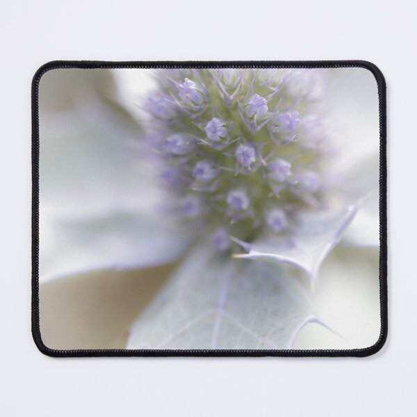 Item preview, Sea Holly Flower designed and sold by heidipics.