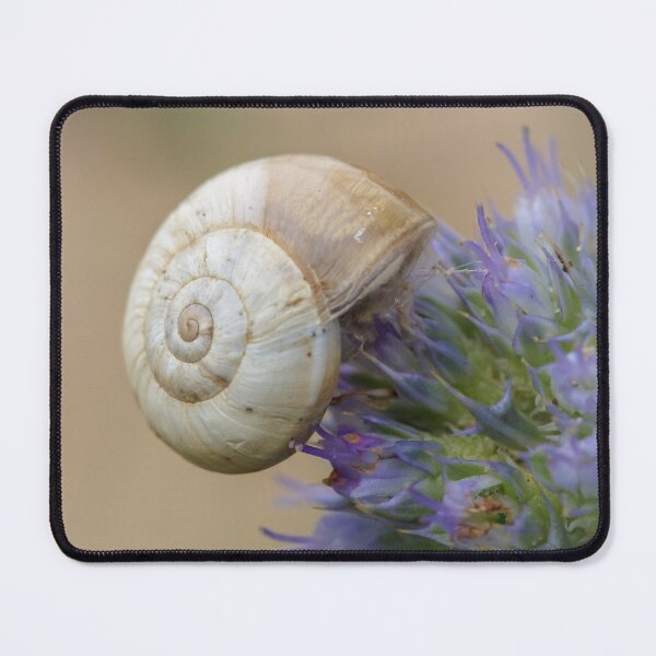 Item preview, Snail on Sea Holly Flower designed and sold by heidipics.