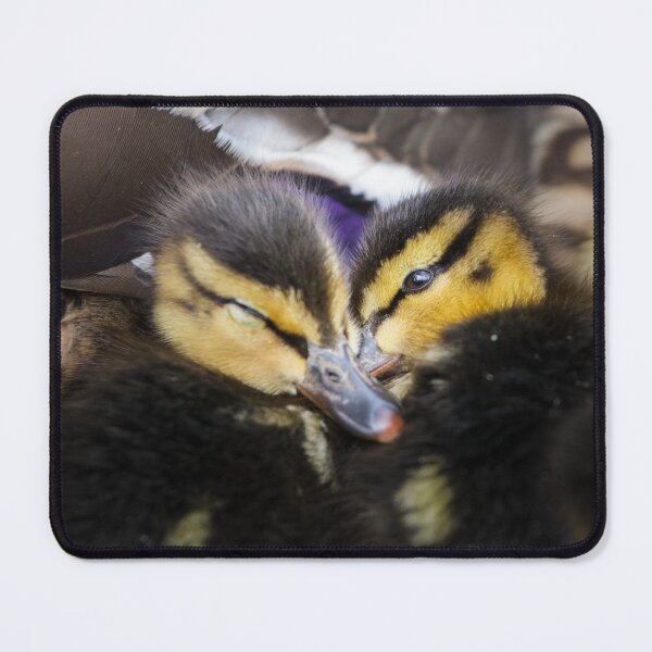 Item preview, Cuddle Time designed and sold by heidipics.