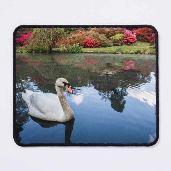 Item preview, Swan Lake designed and sold by heidipics.