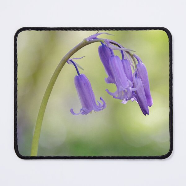 Item preview, Bluebell designed and sold by heidipics.