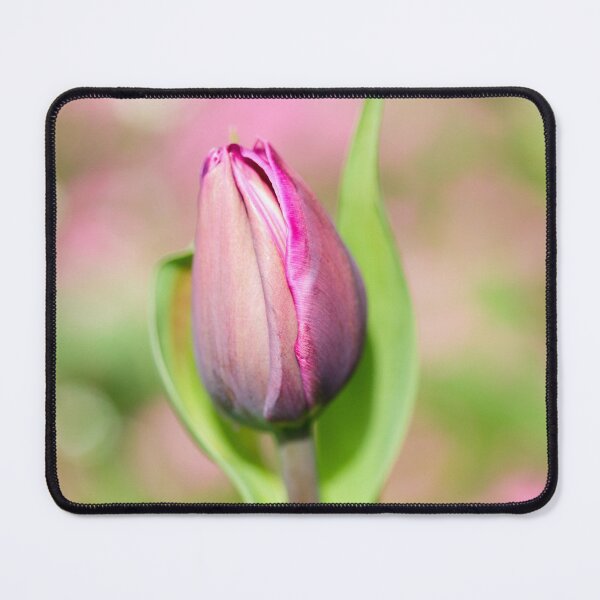 Item preview, Tulip Bud designed and sold by heidipics.