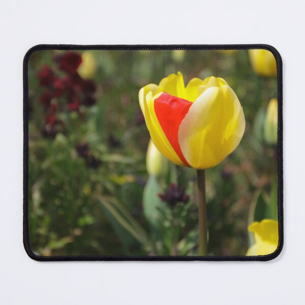Item preview, The Odd One Out designed and sold by heidipics.