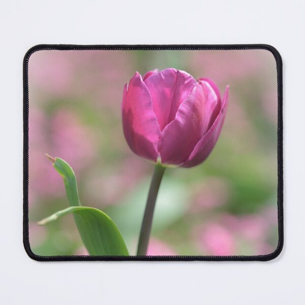 Item preview, Sweet Tulip designed and sold by heidipics.