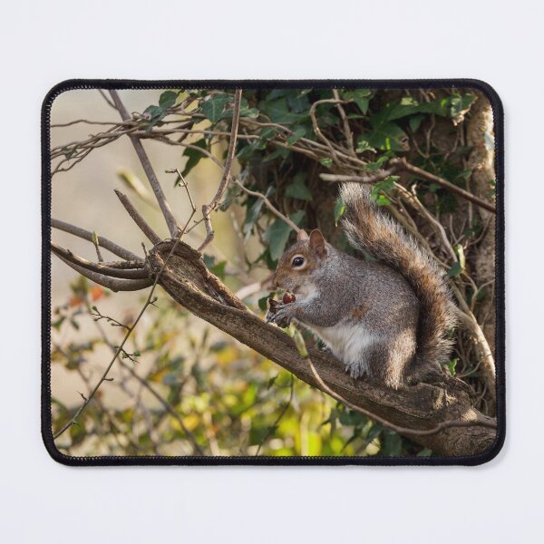Item preview, Squirrel Nutkin designed and sold by heidipics.