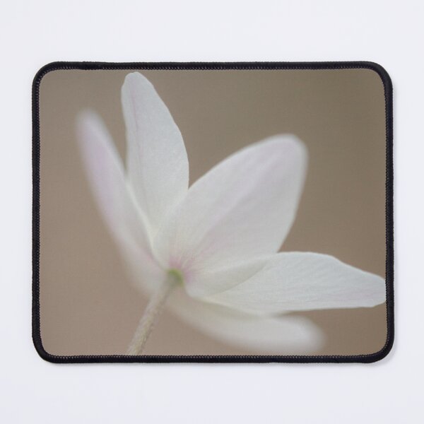 Item preview, Delicate Touch designed and sold by heidipics.