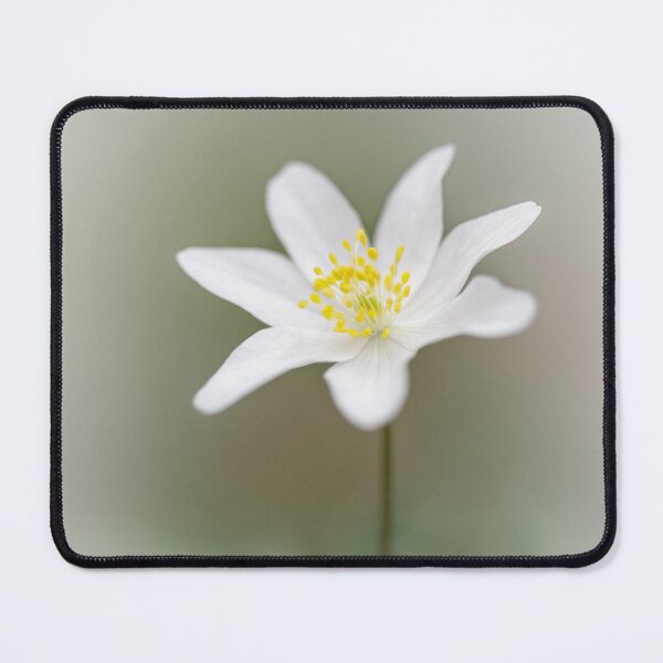 Item preview, Wood Anemone designed and sold by heidipics.