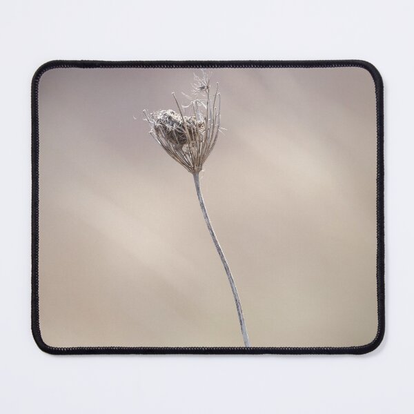 Item preview, Wild Carrot Seed Head designed and sold by heidipics.