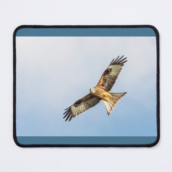 Item preview, Red Kite in Flight designed and sold by heidipics.