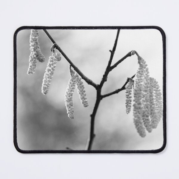 Item preview, Catkins in Mono designed and sold by heidipics.