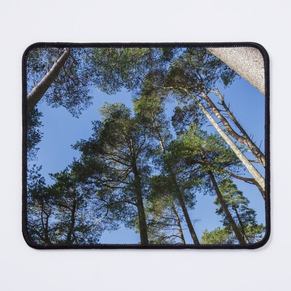 Item preview, Tall Trees and Blue Sky designed and sold by heidipics.