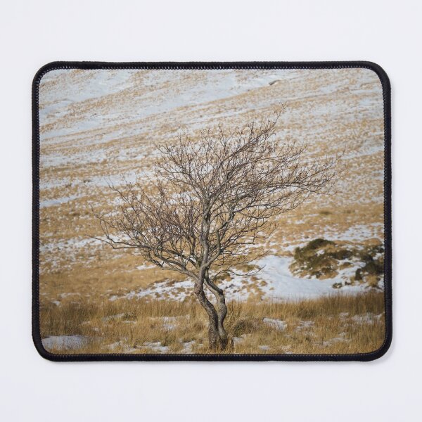 Item preview, Solitary Tree against the Snowy Hillside designed and sold by heidipics.