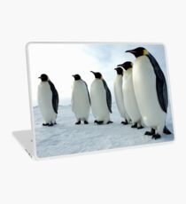Lined up Emperor Penguins Laptop Folie
