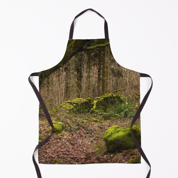 Item preview, Old Farm remains at Blaen y Glyn designed and sold by heidipics.