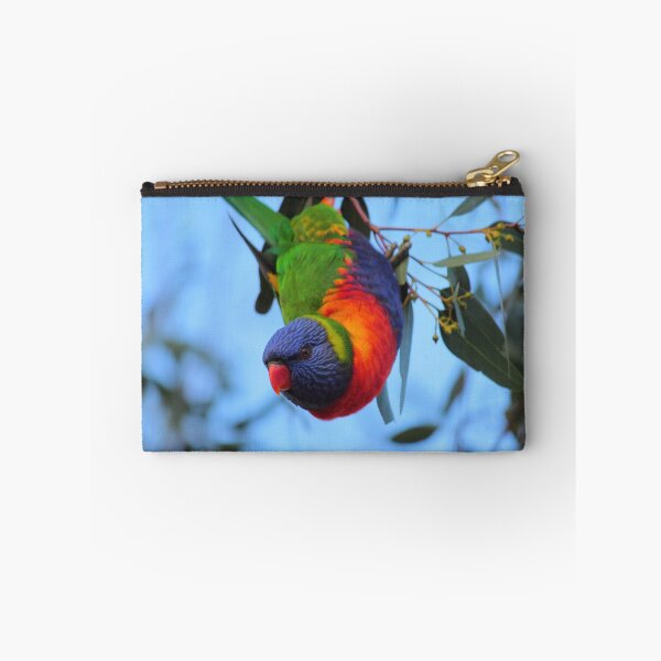 Item preview, Bat bird! designed and sold by tjmarshall.