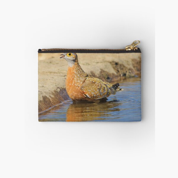 Item preview, Burchell's Sand-grouse - Life Quenching Water designed and sold by LivingWild.