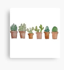 Cactus Canvas Print