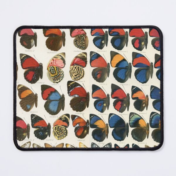 Item preview, Agrias Seitz Butterfly Print designed and sold by wild.geranium.design.