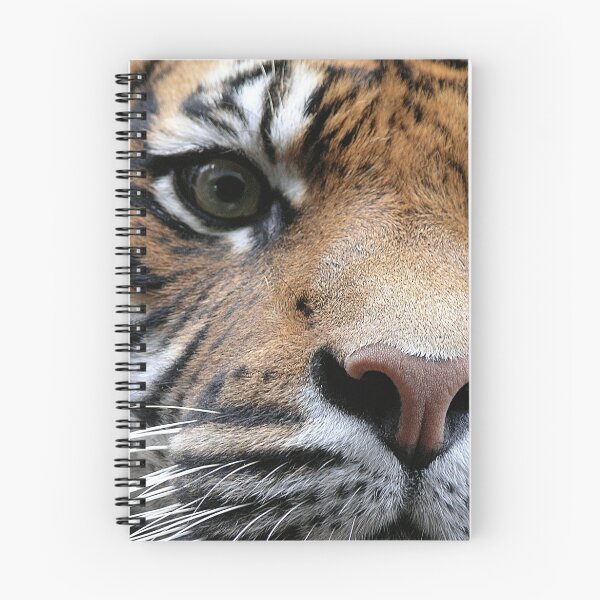 Item preview, Tiger 2 designed and sold by Sandy  Taylor Photography.