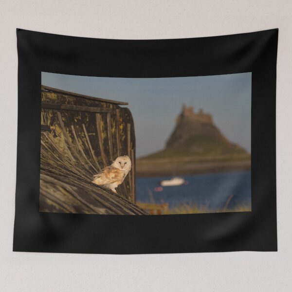 Item preview, Barn Owl at Lindisfarne designed and sold by FXST.