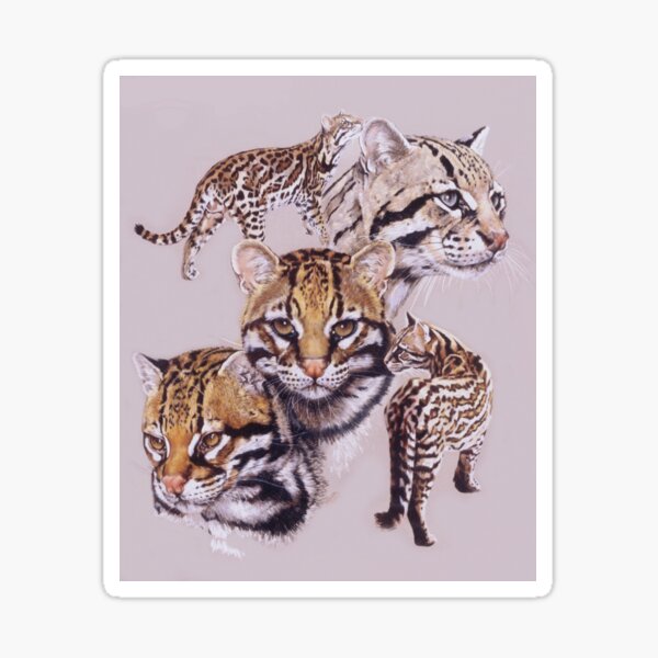 Item preview, Wild and Free designed and sold by BarbBarcikKeith.