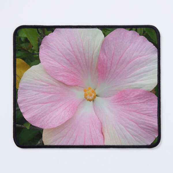Item preview, Persephone's Flower designed and sold by Izayo-Darke1.