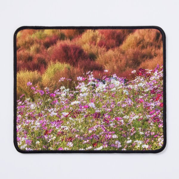 Item preview, Field of cosmos flowers designed and sold by aaronchoi.