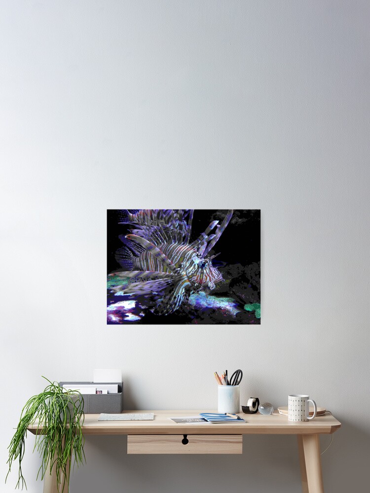 Thumbnail 2 of 3, Poster, Zebra Fish designed and sold by TooManyNuggets.
