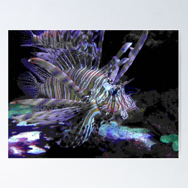 Item preview, Zebra Fish designed and sold by TooManyNuggets.