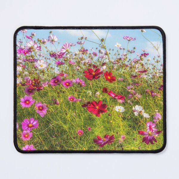 Item preview, Field of cosmos flowers designed and sold by aaronchoi.